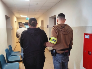 Zatrzymana kobieta, prowadzona przez policjantów korytarzem KMP w Rudzie Śląskiej