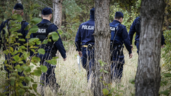 zdjęcie poglądowe - policjanci w lesie
