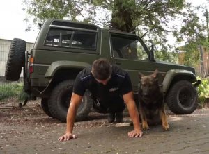 Zdjęcie kolorowe. Policyjny przewodnik wraz z psem