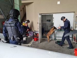 Policjanci wraz z psem sprawdzają budynek pod kątem środków pirotechnicznych.