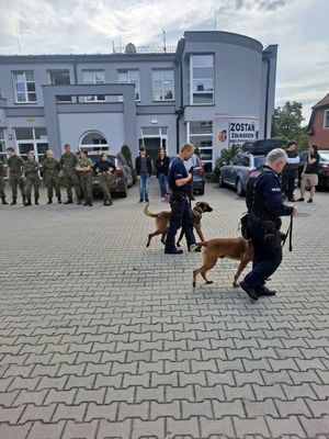 Na zdjęciu przewodnicy psów służbowych prezentują atak na agresywnego mężczyznę.