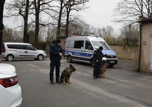 Na zdjęciu policjanci przewodnicy psów służbowych.