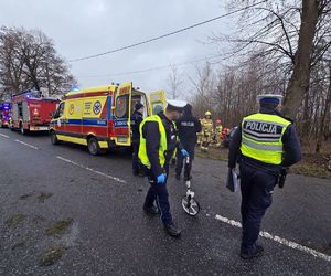 Na zdjęciu policjanci wykonują czynności na miejscu wypadku drogowego.