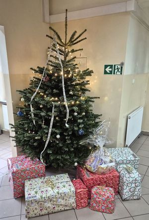 Na zdjęciu choinka z prezentami.