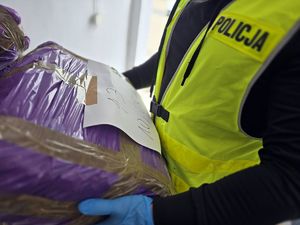 Na zdjęciu policjant podczas prowadzenia oględzin zabezpieczonej krajanki tytoniowej.