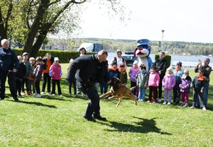 Przewodnicy psów służbowych robią pokaz dla dzieci.