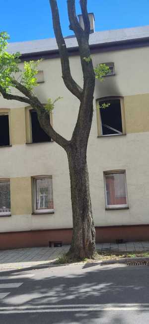 na zdjęciu budynek