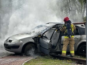 Zdjęcie przedstawia strażaka gaszącego pożar.