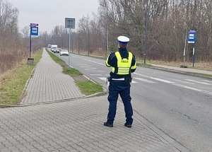 Zdjęcie przedstawia umundurowanego policjanta stojącego przy oznakowanym przejściu dla pieszych.