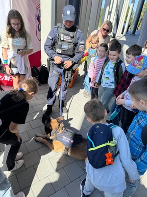 Piknik ratowniczy z udziałem sosnowieckich policjantów oraz Pierwszego Zastępcy Komendanta Wojewódzkiego Policji w Katowicach insp. Artura Bednarka.