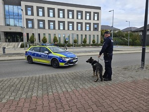 Zdjęcie przedstawia umundurowanego policjanta oraz psa służbowego podczas ćwiczeń.
