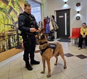Zdjęcie przedstawia przewodnika psa służbowego.