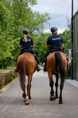 Zdjęcie przedstawia patrol konny