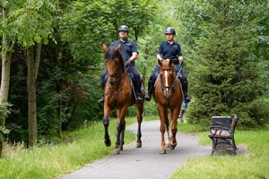 Zdjęcie przedstawia patrol konny