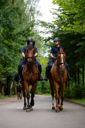 Zdjęcie przedstawia patrol konny