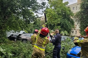 zdjęcie przedstawia policjanta usuwającego drzewo razem ze strażakami