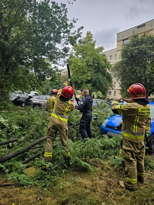 zdjęcie przedstawia policjanta usuwającego drzewo razem ze strażakami