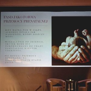 zdjęcie przedstawia obraz prezentacji