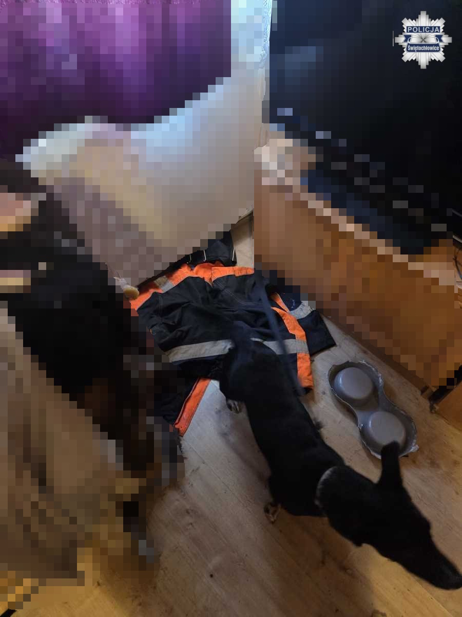 22-latek odpowie za znęcanie się nad psem