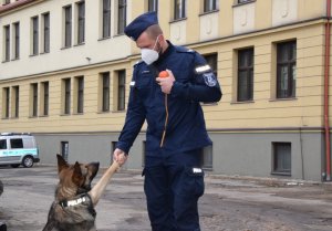 Na zdjęciu widać policjanta przewodnika oraz psa służbowego. Pies podaje łapę policjantowi.