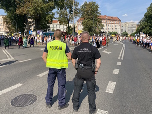 na zdjęciu policjant i pracownik służby porządkowej na jezdni, przed nimi uczestnicy pochodu i publiczność