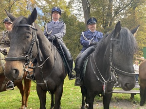 na zdjęciu policjanci na koniach