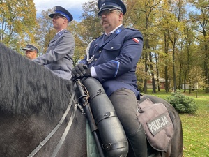 na zdjęciu policjanci na koniach