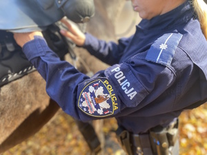 na zdjęciu policjantka w mundurze i widoczna na ramieniu naszywka z napisem policja konna Częstochowa