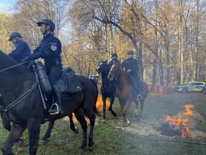 na zdjęciu policjanci na koniach przejeżdżający przez paląca się słomę na trawie