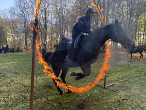 na zdjęciu policjanta na koniu pokonująca palącą się obręcz