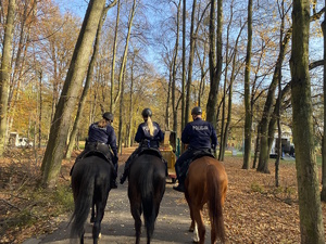 na zdjęciu policjanci na koniach w parku