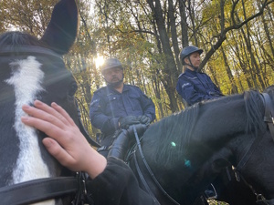 na zdjęciu dłoń osoby głaskająca policyjnego konia