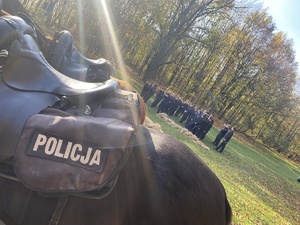 na zdjęciu siodło na koniu z napisem policja, w oddali młodzież stojąca na trawie