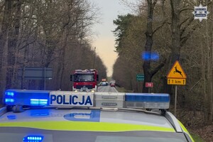 na zdjęciu fragment policyjnego radiowozu, w oddali wóz strażacki i miejsce wypadku, gdzie stoją inne pojazdy