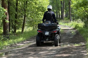 na zdjęciu policjant na qudzie na drodze leśnej