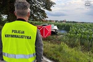 na zdjęciu policjant w kamizelce, przed nim parawan i rozbity pojazd w polu kukurydzy