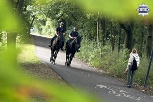 na zdjęciu policjanci na koniach w trakcie patrolu parku
