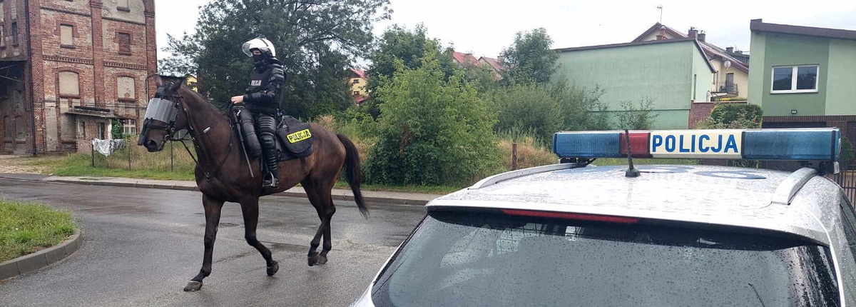 Policyjny jeździec na koniu, widoczny napis &quot;Policja&quot; z radiowozu.