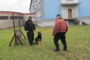 Zdolności dobrze wyszkolonego psa są nieocenione