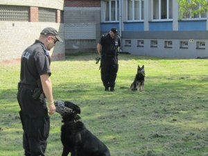 Poznali tajniki pracy policjanta