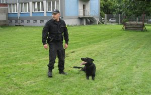 Policjanci pomagają zbliżyć się do marzeń...