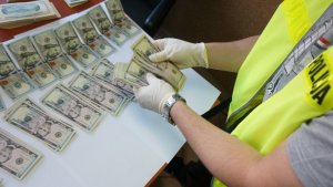 Policjanci odzyskali 5 tys. dolarów i zatrzymali złodzieja