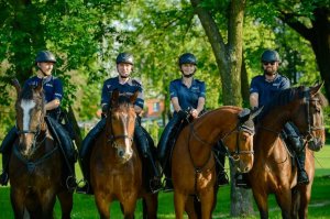 Na zdjęciu 4 umundurowanych policjantów na koniach