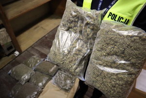 Policjant trzyma dwa worki z marihuaną, na podłodze widocznych pięć innych worków z tym narkotykiem.