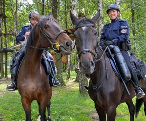 Dwaj umundurowani policjanci na koniach.