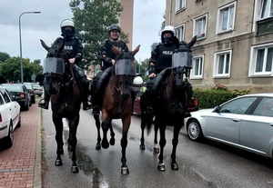 Trzech policyjnych jeźdźców na koniach służbowych.