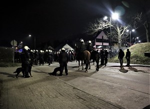Na zdjęciu umundurowani policjanci oraz psy i konie policyjne.