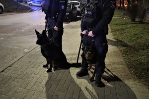 Na zdjęciu umundurowani policjanci biorący udział w zabezpieczeniu meczu oraz dwa psy służbowe.