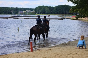 Na zdjęciu policjanci siedzący na koniach