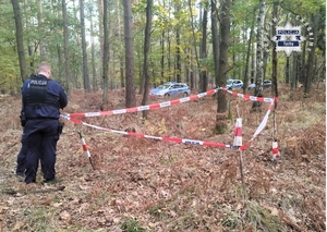 Na zdjęciu policjanci stojący w lesie obok odgrodzonego policyjną taśmą obszaru. W tle radiowozy Policji.